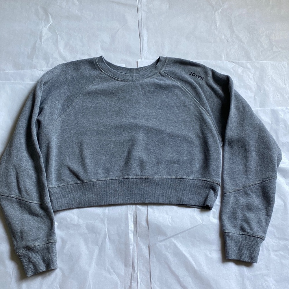 Jolyn cropped grey sweatshirt